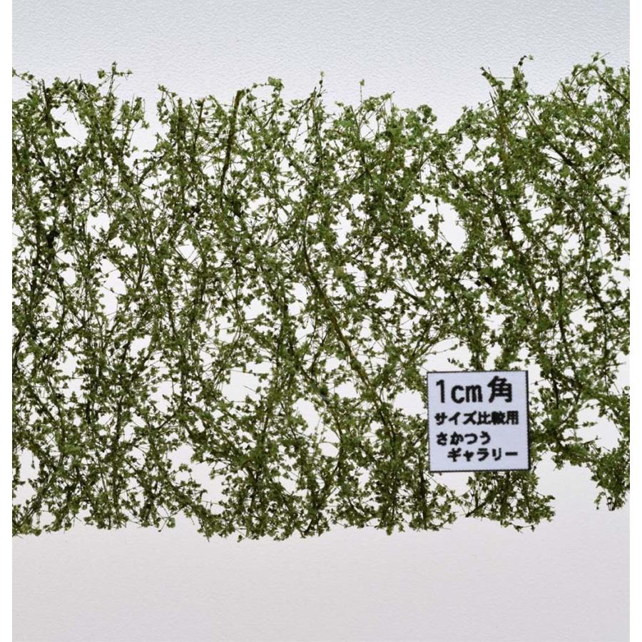 ポプラの枝葉(N)-夏の盛り ：ミニネイチャー 素材 ノンスケール 913-12