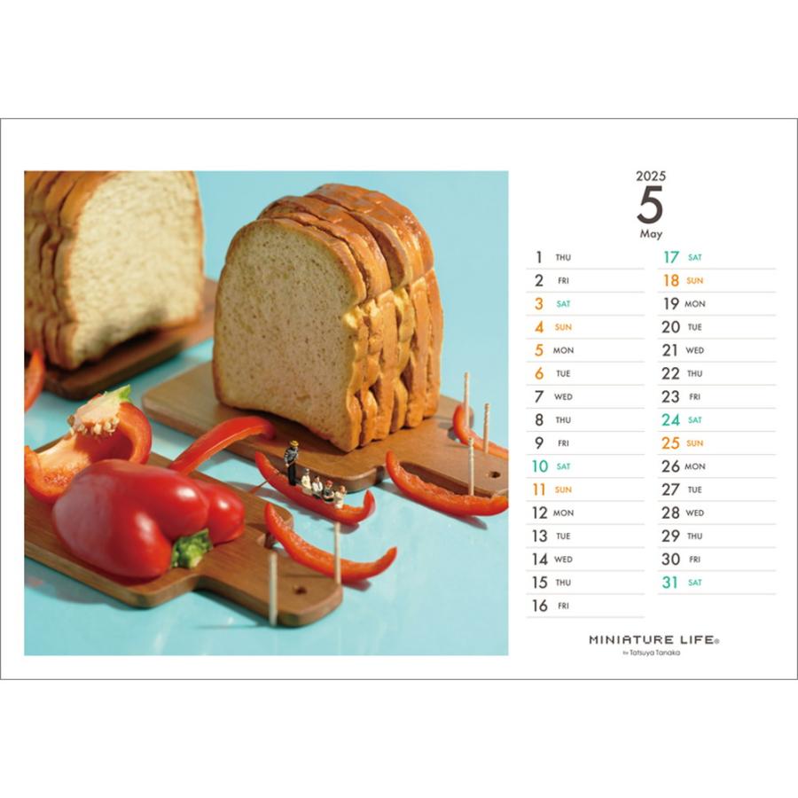 卓上カレンダー MINIATURE LIFE(2025.4-2026.3） ：ミニチュアライフ