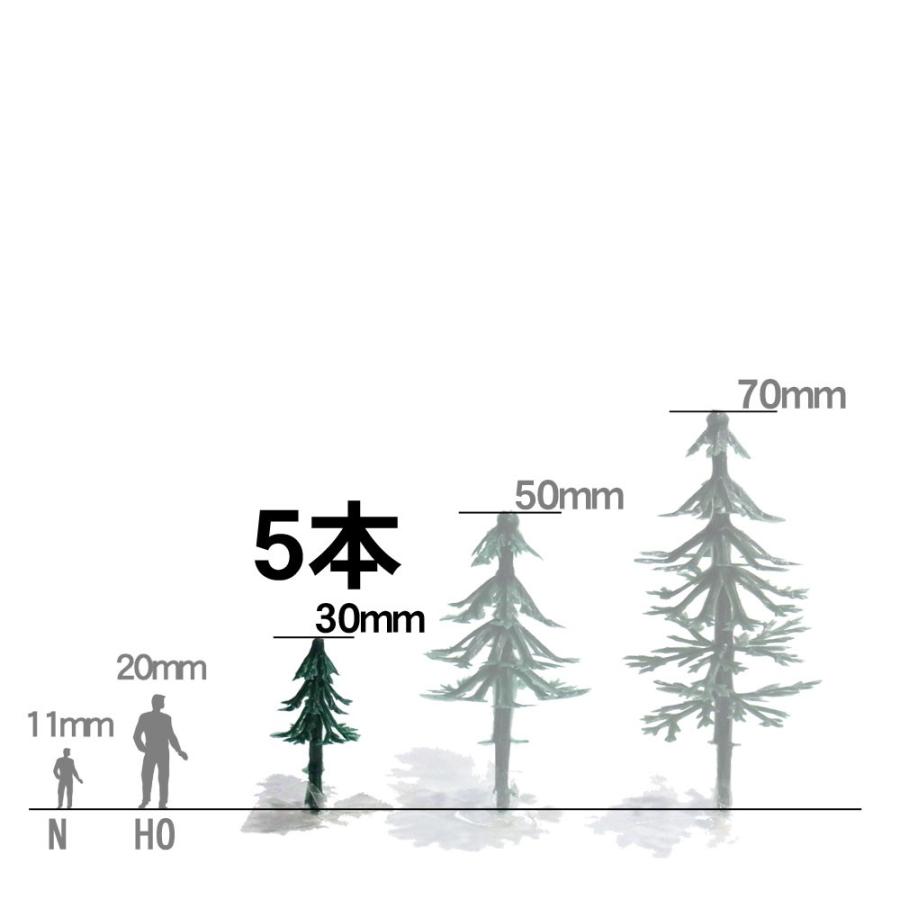 針葉樹 3cm 5本入り ：さかつう 完成品 ノンスケール 7604 : さかつう