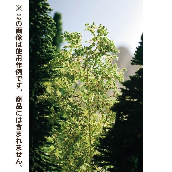 葉表現素材 パウダーリーフ ライトグリーン色 50g ：ノッホ 素材 ノン