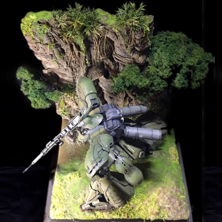巨人の森（サザビー陸戦改修機） ：ヒロセヒロシ 塗装済完成品 1/100