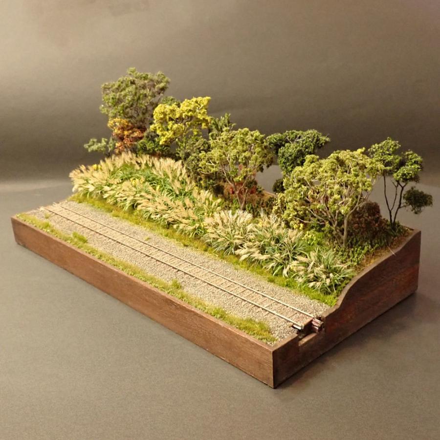 限定品 ススキ　：斉藤逸朗　塗装済完成品　N（1/150） 【BCD2561201257】(92400円)