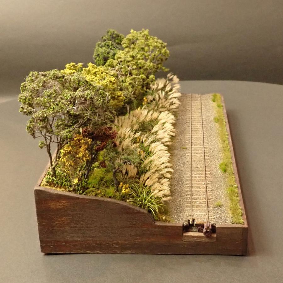 限定品 ススキ　：斉藤逸朗　塗装済完成品　N（1/150） 【BCD2561201257】(92400円)