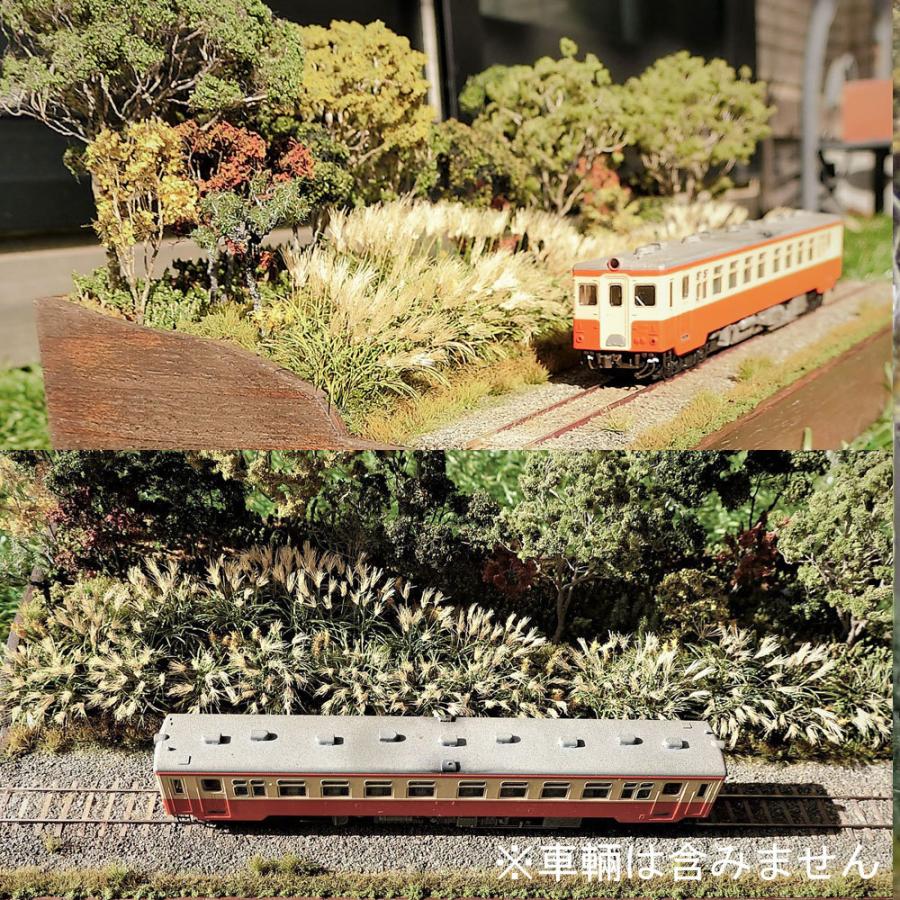 限定品 ススキ　：斉藤逸朗　塗装済完成品　N（1/150） 【BCD2561201257】(92400円)