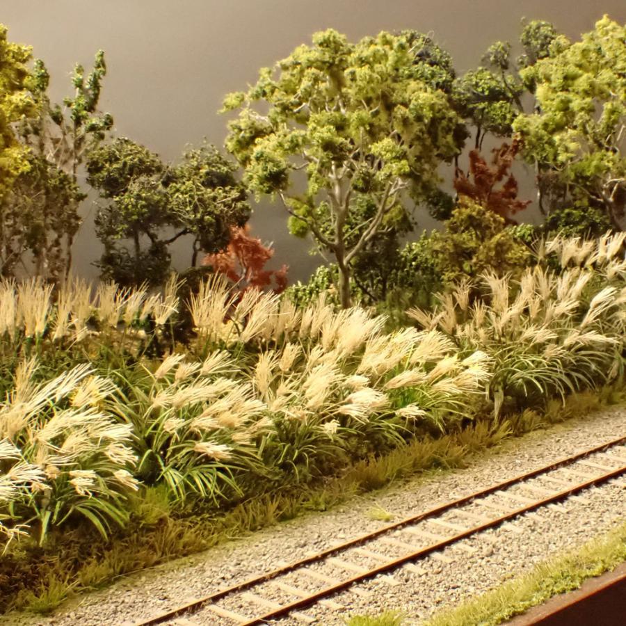 限定品 ススキ　：斉藤逸朗　塗装済完成品　N（1/150） 【BCD2561201257】(92400円)