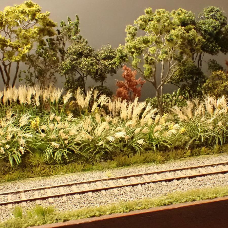 【通常品】 ススキ　：斉藤逸朗　塗装済完成品　N（1/150） 【BCD2561201239】(92400円)