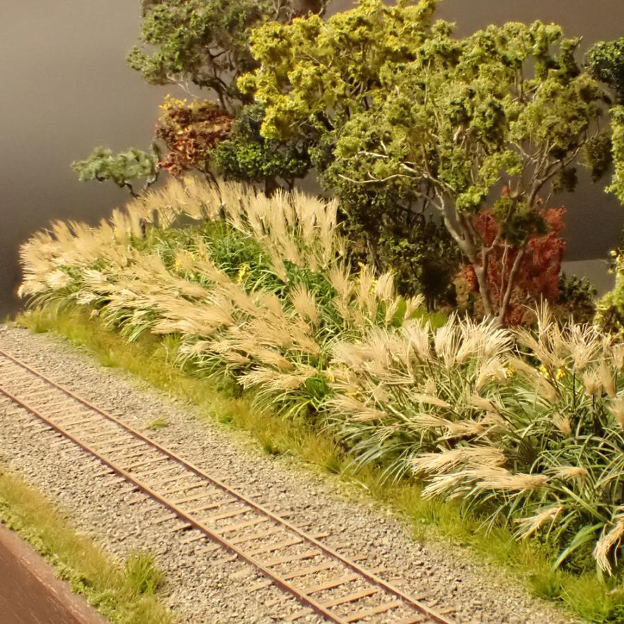 限定品 ススキ　：斉藤逸朗　塗装済完成品　N（1/150） 【BCD2561201257】(92400円)