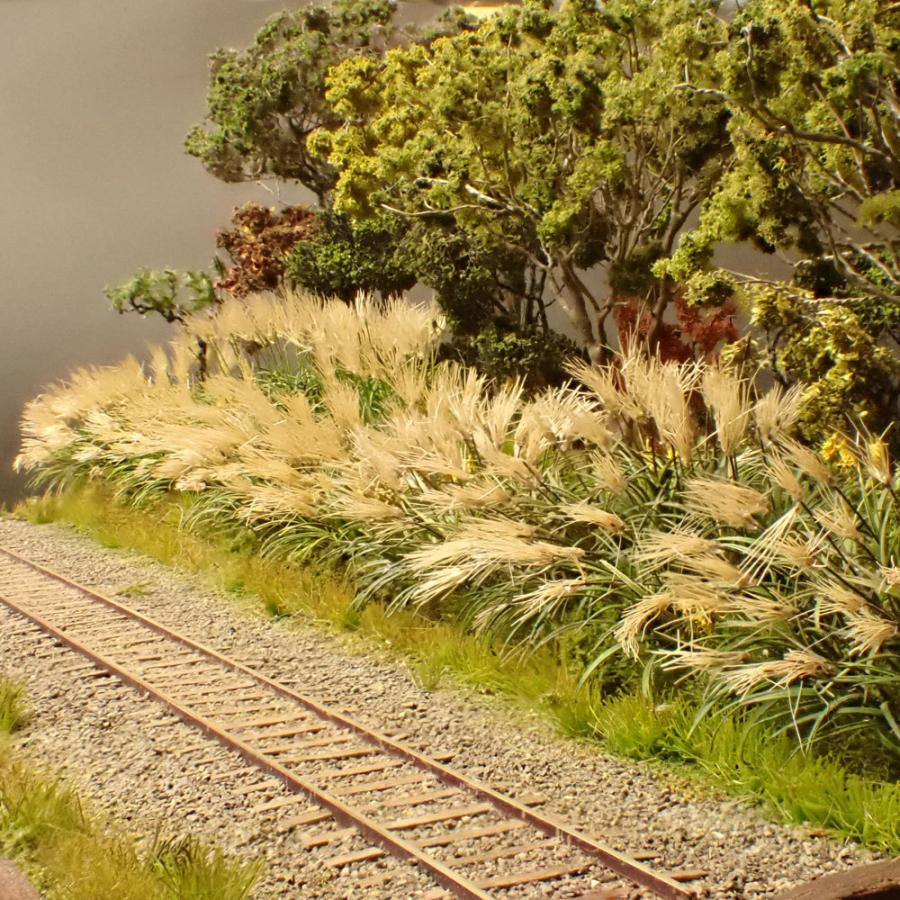 限定品 ススキ　：斉藤逸朗　塗装済完成品　N（1/150） 【BCD2561201257】(92400円)