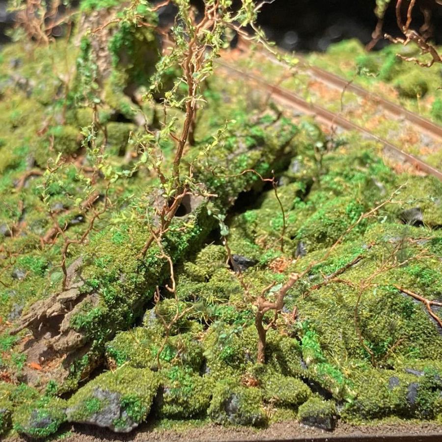 森林鉄道 新緑と苔むした倒木 ：Art Stage K 塗装済完成品 1/87