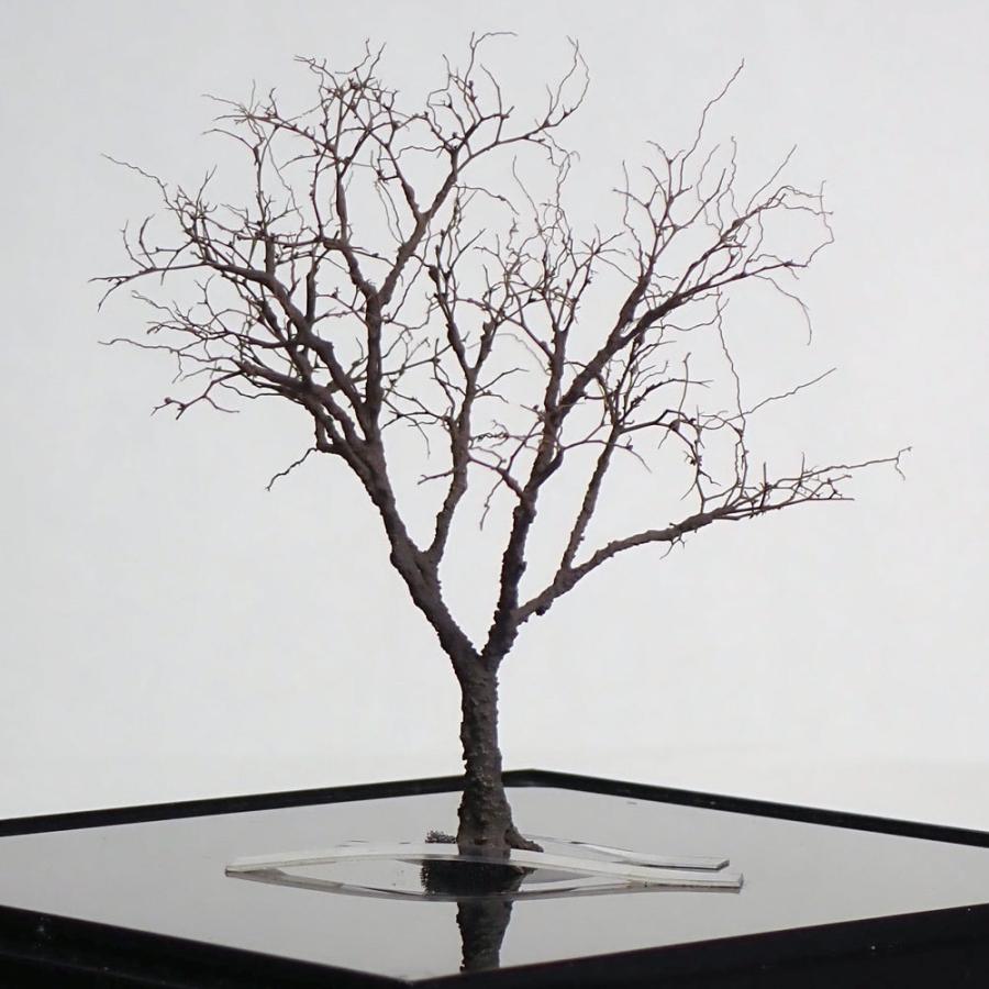 完成樹木模型 枯れ木 約8cm ：Art Stage K 塗装済完成品 ノンスケール