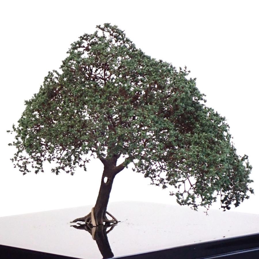 完成樹木模型 名木 約12cm 樹洞、うろ ：Art Stage K 塗装済完成品