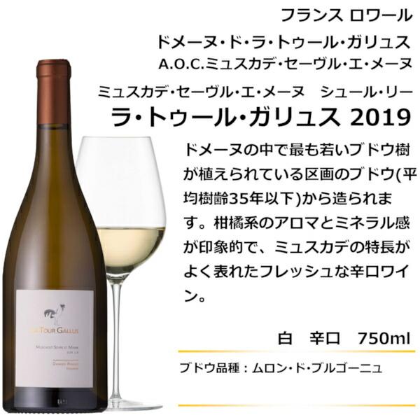 特価 赤ワインセット 送料無料 ワイン 飲み比べ サンテミリオン入り