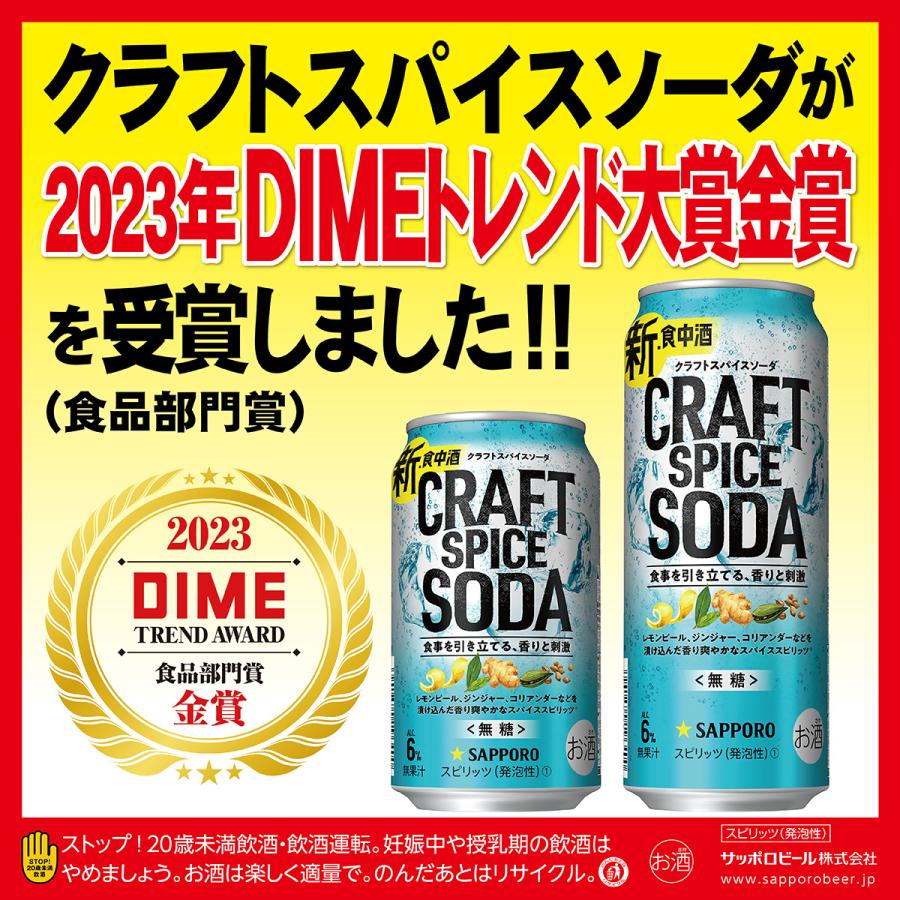 サッポロ クラフトスパイスソーダ 500ml×48本(2ケース)[送料無料※一部地域は除く]｜sakayabic｜02