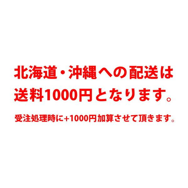 チェリオ ライフガード ペット 500ml ×48本 2ケース 炭酸飲料 送料無料 北海道 沖縄は送料1000円 代引不可 同梱不可 日時指定不可｜sakaz｜05