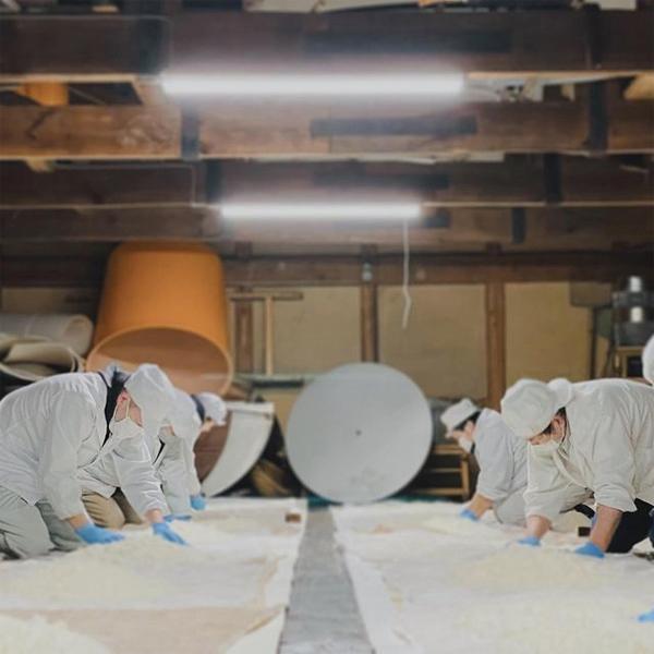 【限定入荷しました！】【芳醇かつスッキリ美味しい夏限定純米吟醸！】　月山　涼夏　純米吟醸　精米歩度55％　1800ml |  | 03