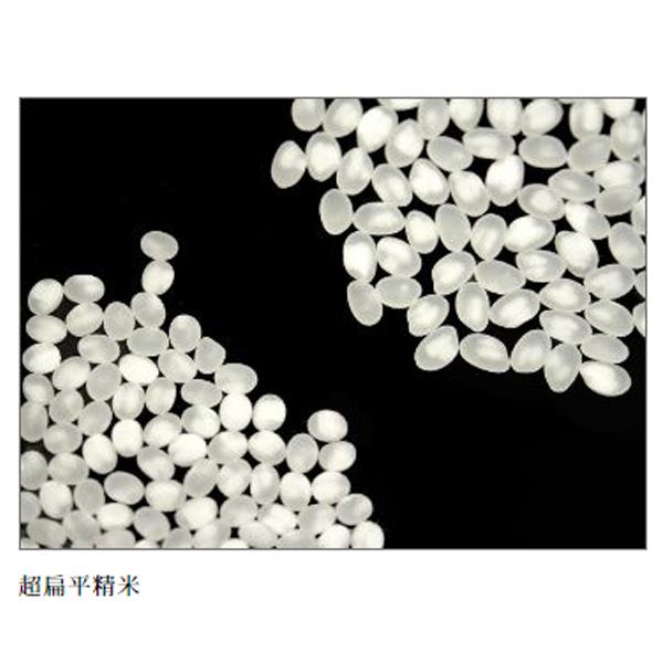 【限定入荷しました！】【大七の限定しぼりたて新酒！】　大七　雪しぼり　生原酒　生もと造り　本醸造　五百万石　720ml(クール便配送推奨) | 大七 | 03