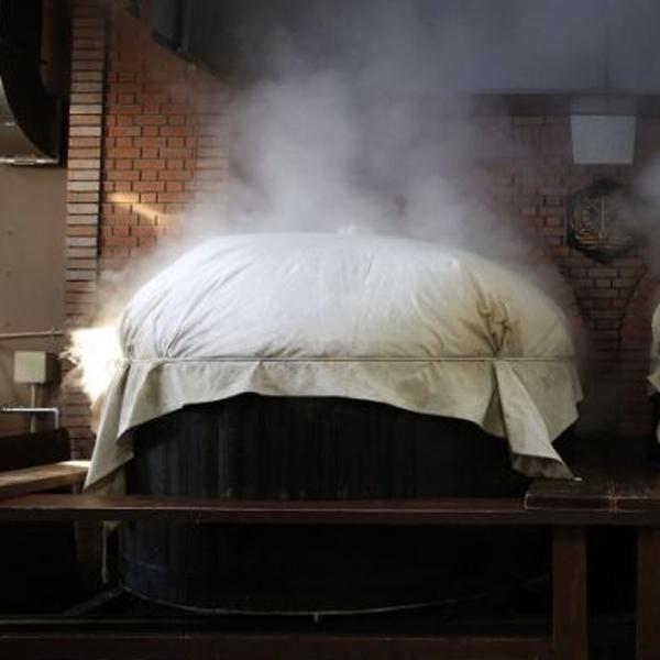 【限定入荷しました！】【大七の限定しぼりたて新酒！】　大七　雪しぼり　生原酒　生もと造り　本醸造　五百万石　720ml(クール便配送推奨) | 大七 | 04