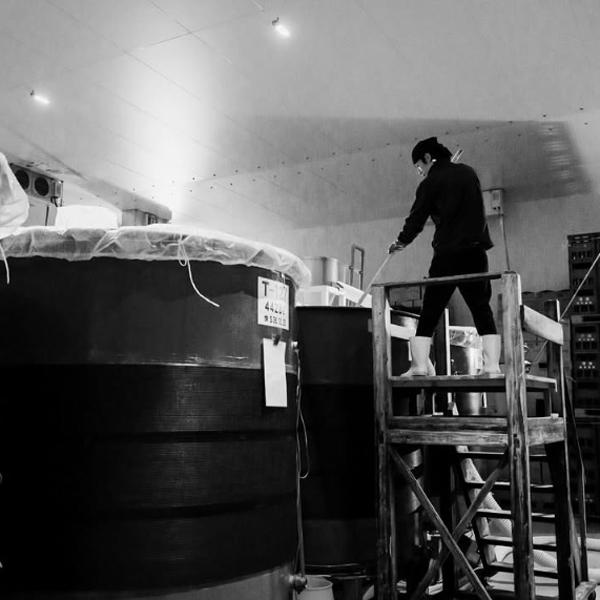 鍋島 【超大人気！山田錦100％によるふくらみのある味わいが魅力