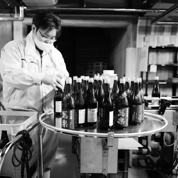 【超大人気！季節限定！写楽の新酒・生酒！】　冩樂(写楽・しゃらく)　純米吟醸　初しぼり　生酒　五百万石　精米歩合50％　1800ml(クール便推奨) |  | 05