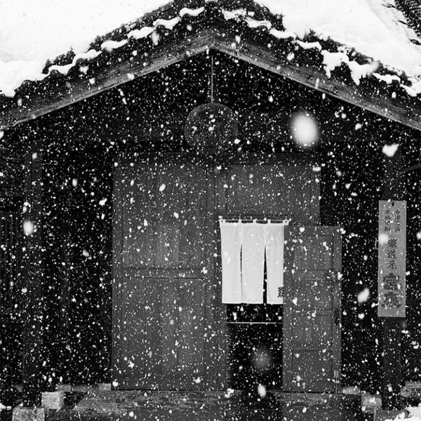 【超大人気！季節限定！写楽の無濾過・生酒！】　冩樂(写楽・しゃらく)　純米酒　無濾過生　生酒　夢の香　精米歩合60％　1800ml(クール便推奨) | 伯楽星 | 01