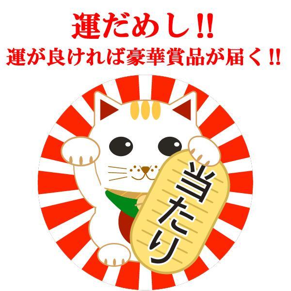 獺祭 【送料無料！】【日本酒くじ】 十四代、而今、鍋島、写楽が10本に