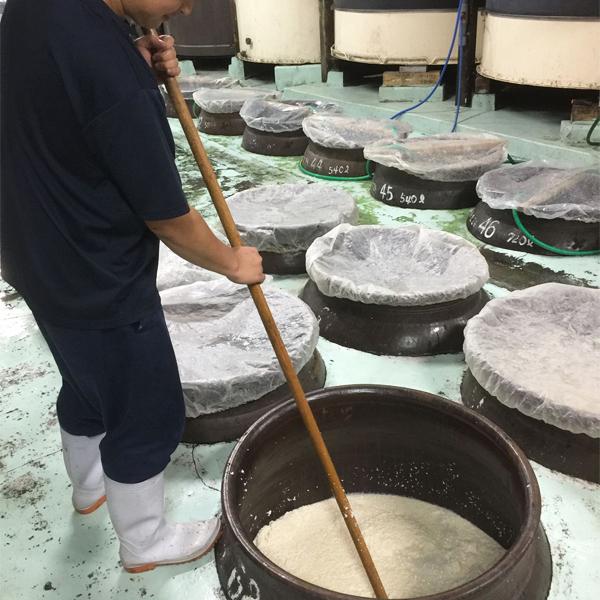 【限定入荷しました！】【すっきりとした味わい！清涼感たっぷりの芋焼酎！】　丸西　蓬原　昊(SORA)　そら　芋焼酎　25度　1800ml(3) | 丸西酒造 | 04