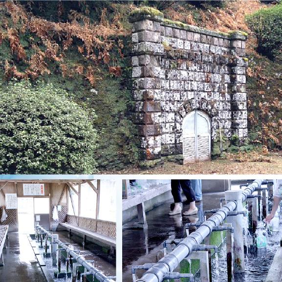【ライチやマスカットような香り】　克　勝どき　白麹原酒＆熟成芋原酒＆香り酵母原酒　芋焼酎　25度　900ml | 七窪 | 05
