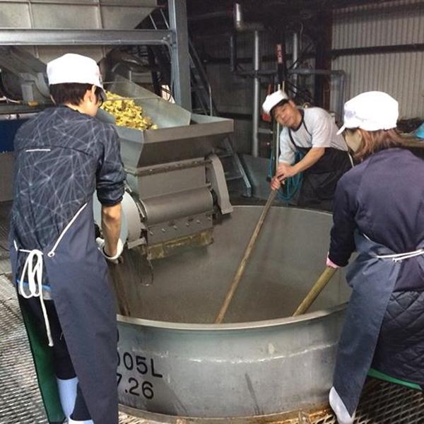 【限定入荷しました！】【焼き芋仕込みにより紅茶のような上品な香りと濃厚でまろやかなコク！】　相良　たまあかね　焼き芋　3年古酒　芋焼酎　25度　1800ml | 相良酒造 | 02