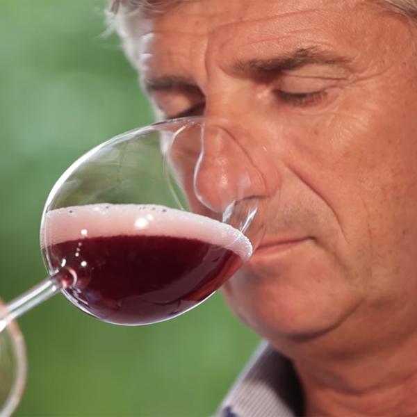 微発泡で優しい甘さが女性に大人気！アルコール度数7.5％と低め