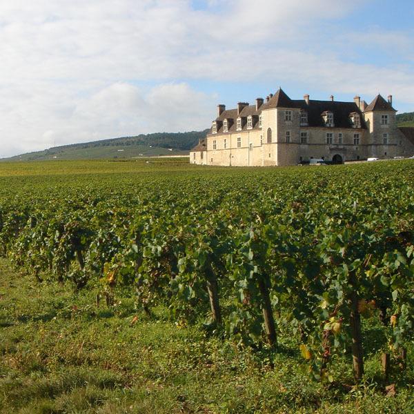 ドメーヌ・ド・ラ・ヴージュレ　ヴージョ　プルミエ・クリュ　1級　ル・クロ・ブラン・ド・ヴージョ　白　2020　750ml(正規輸入品) ド ラ ドメーヌ