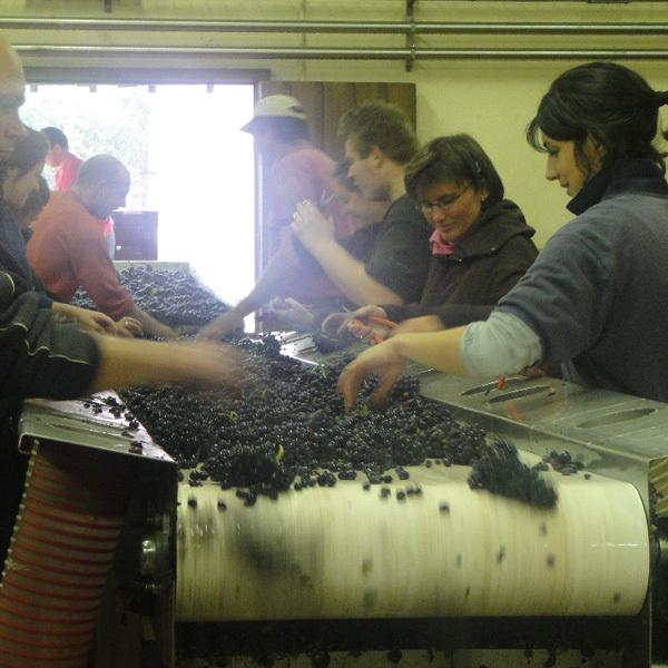 ドメーヌ・ド・ラ・ヴージュレ　ヴージョ　プルミエ・クリュ　1級　ル・クロ・ブラン・ド・ヴージョ　白　2020　750ml(正規輸入品) ド ラ ドメーヌ