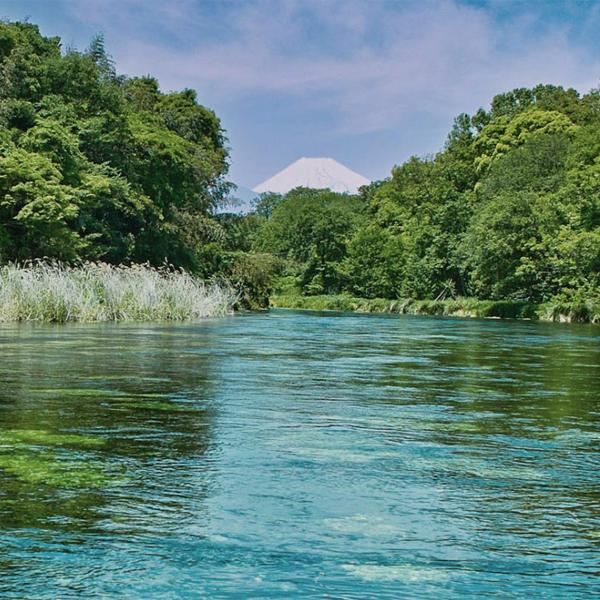 キリン（KIRIN） 【大量入荷！】【品薄！】 キリンウイスキー 富士山麓