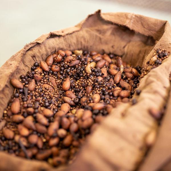 ベトナム産　ドライジン 楽天市場】ベトナム（ジン｜ビール・洋酒）の通販