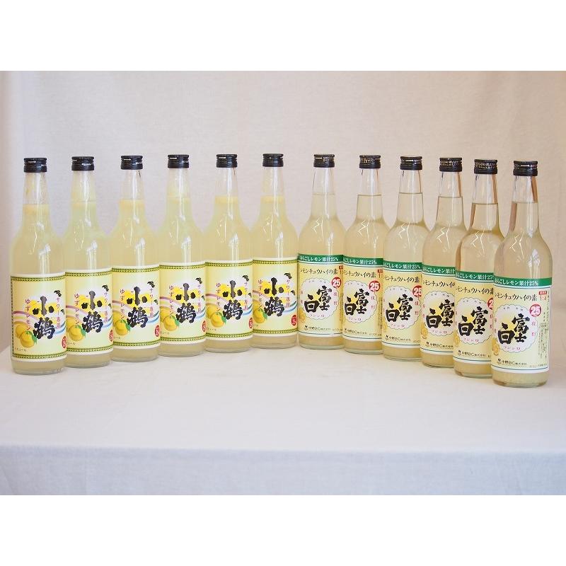 飲み比べチューハイの素セット　660ml×12本