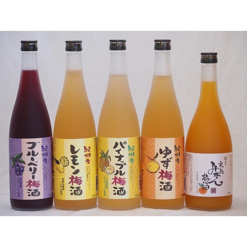 果物梅酒セット レモン×パイナップル×ゆず×ブルーベリー×完熟みかん 中野BC(和歌山県)720ml×5本