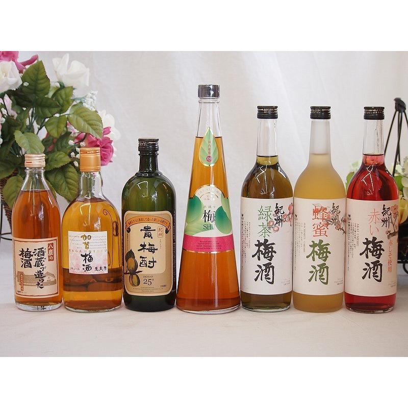 こんな梅酒福袋が欲しかったぁ飲み比べ500ml×1本720m×6本計7本セット