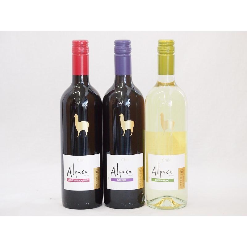 チリ産ワインアルパカ3本セット 赤カルメネール フルボディ 赤カベルネ メルロー ミディアムボディ 白ソーヴィニヨン ブラン 辛口 750ml Alpac013 贈り物本舗じざけや 通販 Yahoo ショッピング