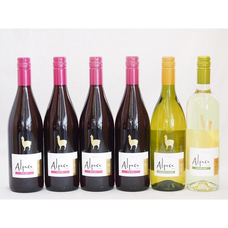 チリ産ワインアルパカ6本セット 赤ピノ ノワール ミディアムボディ 白シャルドネ セミヨン 辛口 白ソーヴィニヨン ブラン 辛口 750ml ミックスセット Canipec Org Mx
