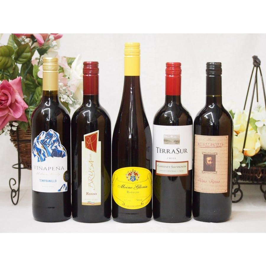ワインセット セレクション 赤ワイン 5本セット イタリアワイン 2本 チリワイン 1本 ドイツワイン 1本 スペインワイン