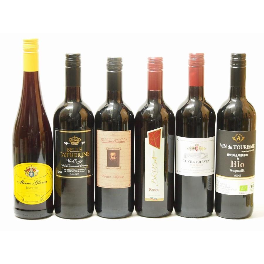 セレクションワイン6本 (赤ワイン 6本)(フランス赤2本、イタリア赤2本、ドイツ赤、スペイン赤750ml×6本