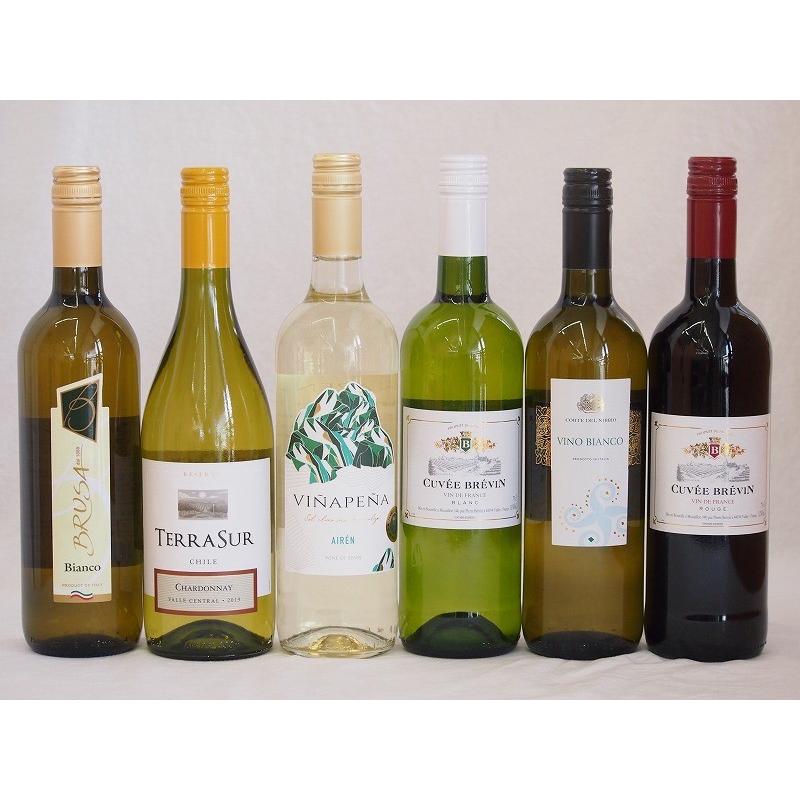 ワインセット セレクションワイン6本セット ( 白ワイン 5本 赤ワイン 1本)(スペイン白、イタリア白2本、チリ白、フランス白｜sake-gets