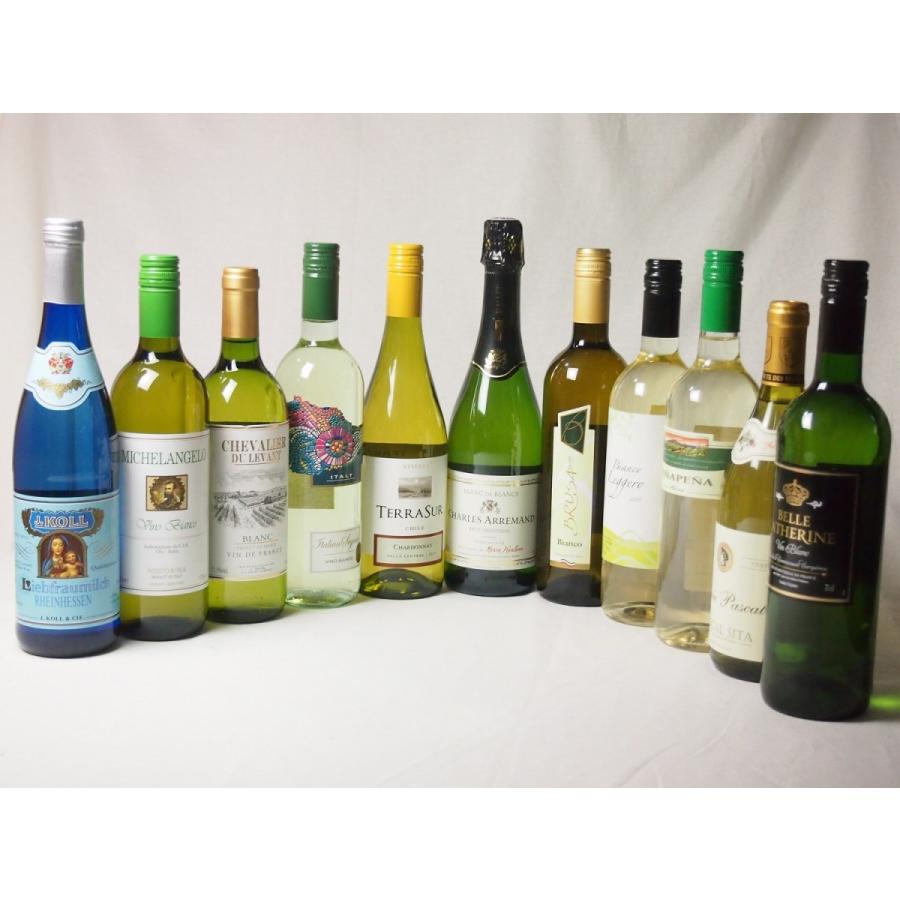 ワインセット 特選高品質ワイン10本福袋（白10本）+優雅でエレガントなスパークリングワイン（フランス泡・白）豪華セット