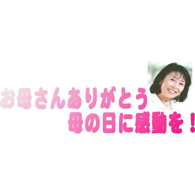 母の日 お母さんありがとう木箱セット 塩尻ナイアガラスパークリングワイン白やや甘口 (長野県) 720ml 母の日カードとカーネイシ｜sake-gets｜04