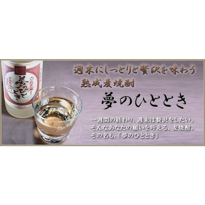 麦焼酎厳選4本セット 中々 百年の孤独720ml×2本 熟成麦焼酎 夢のひととき300ml×2本(宮崎県 大分県)｜sake-gets｜03