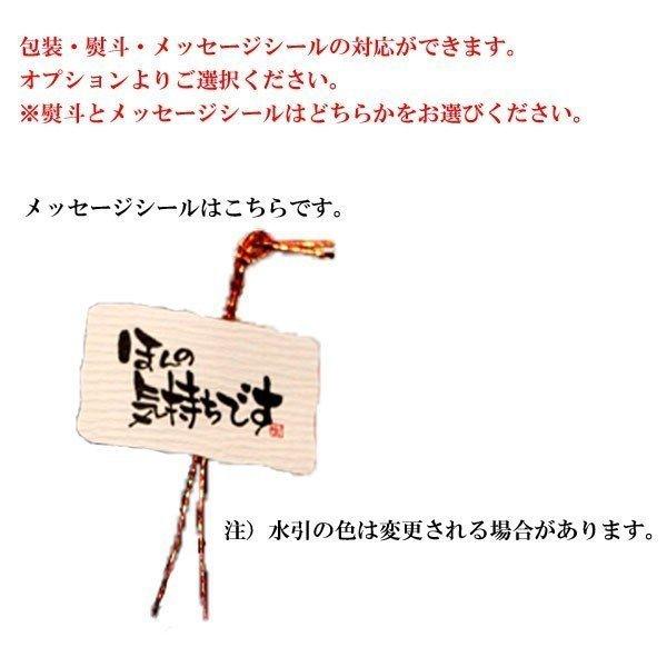 梅酒飲み比べセット720ml 2本箱入り うぐいすとまり みぞれりんごの梅酒 送料無料｜sake-komiyama｜04