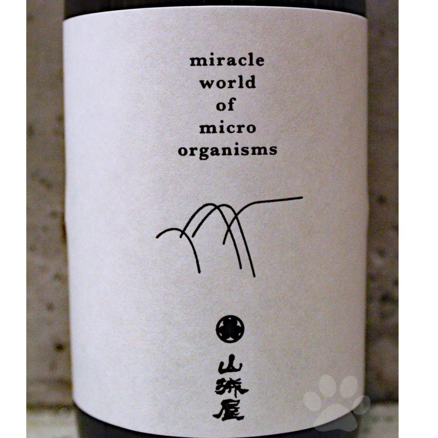 日本酒 山城屋 やましろや スタンダードクラス 生もと仕込 720ml 