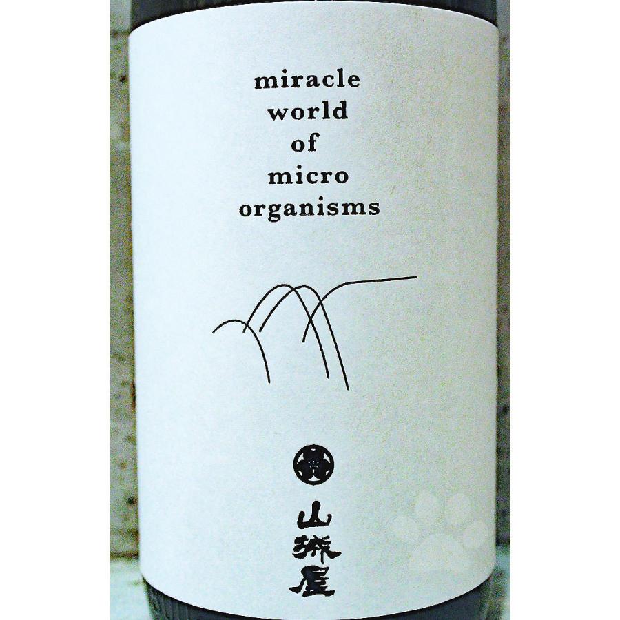 日本酒 山城屋 やましろや スタンダードクラス 生もと仕込 1800ml