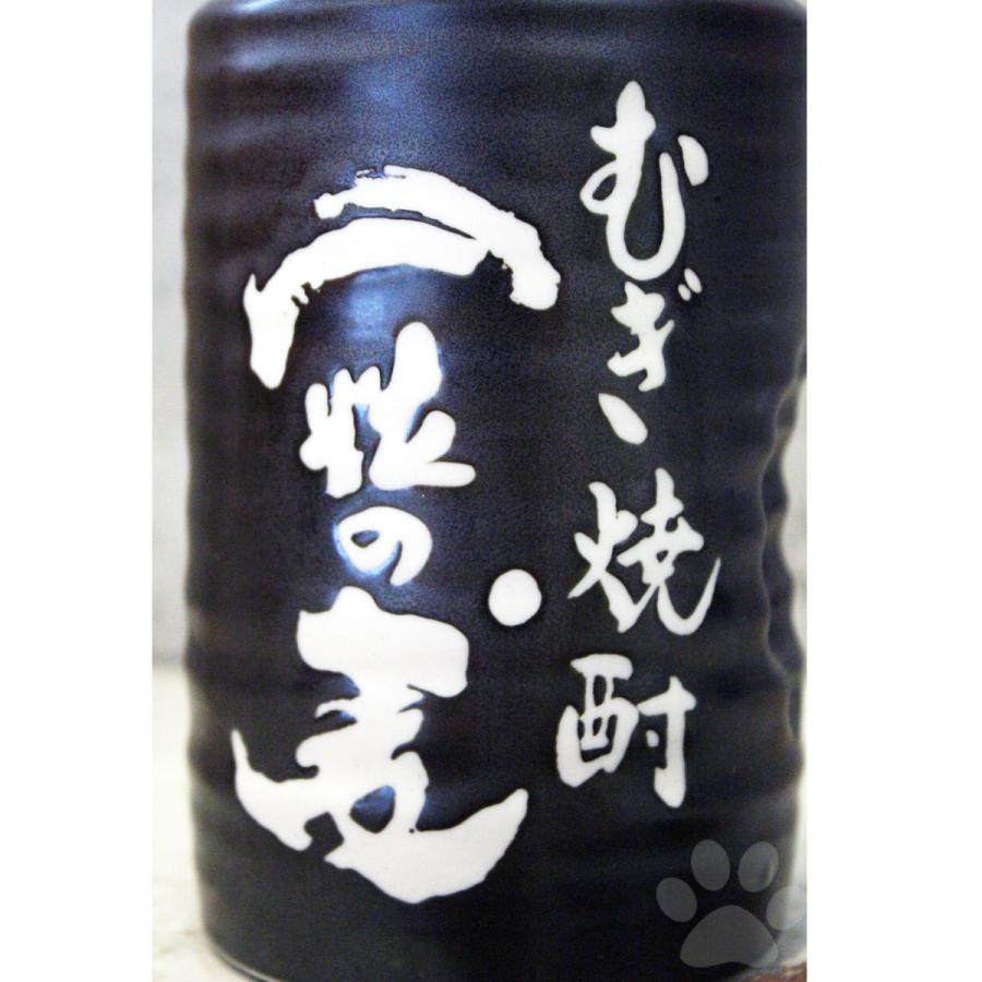 宝山 麦焼酎 一粒の麦 陶器ボトル 25° 720ml : こみやまさけてん