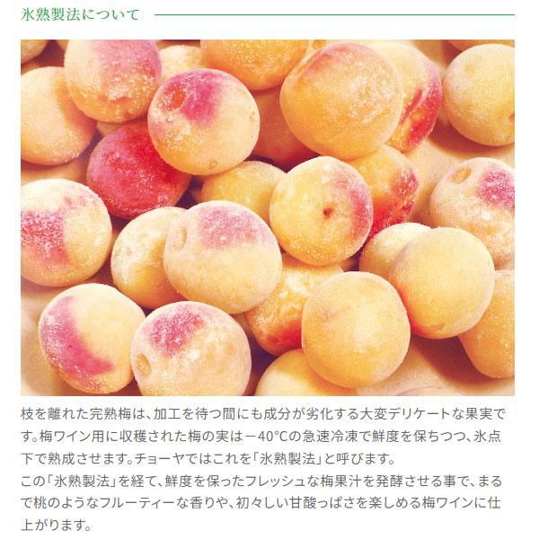 アイスヌーボー3本　2023✖️2 2024✖️1 Amazon.co.jp: チョーヤ CHOYA ICE NOUVEAU 氷熟梅ワイン2024