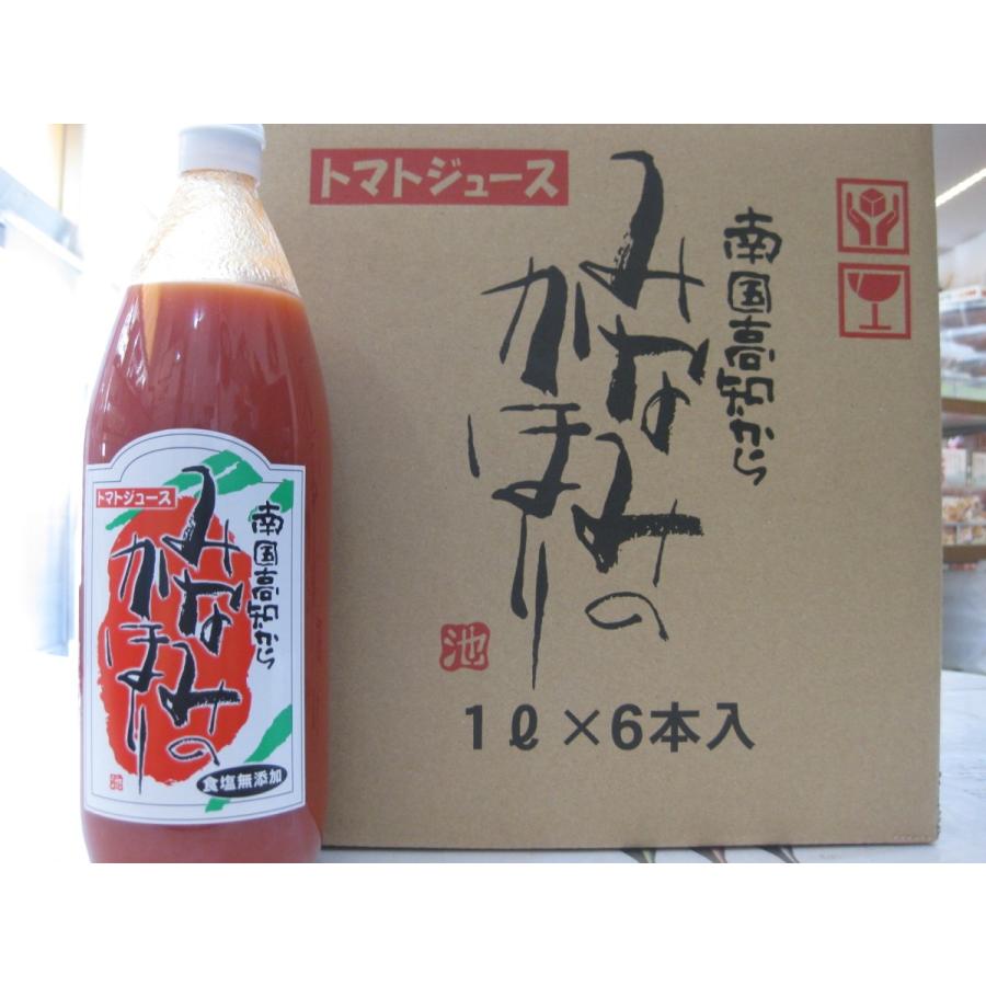 ケース販売【濃厚なのにサッパリ☆トマトジュース！】みなみのかほり